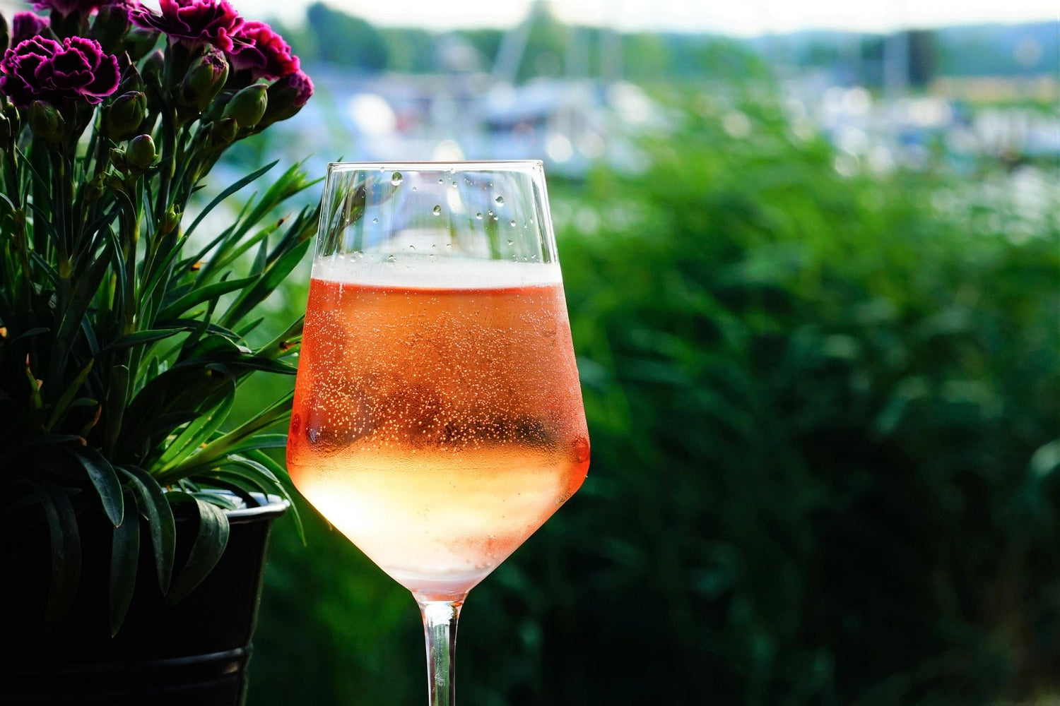 Roséwein