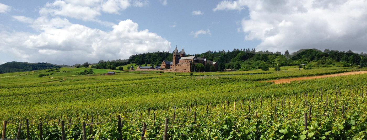 Eibinger Weinwanderung